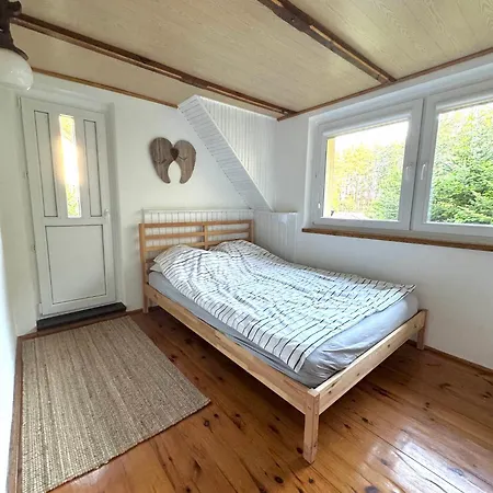 Nad Jeziorem Trzechowskim W Lesie Letniskowy Na Wsi