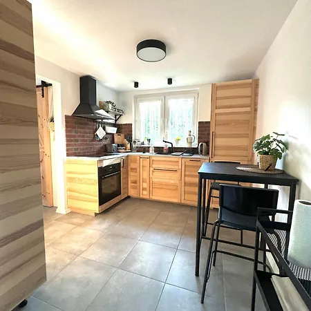 Nad Jeziorem Trzechowskim W Lesie Letniskowy Na Wsi