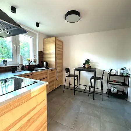 Ferienhaus Nad Jeziorem Trzechowskim W Lesie Letniskowy Na Wsi