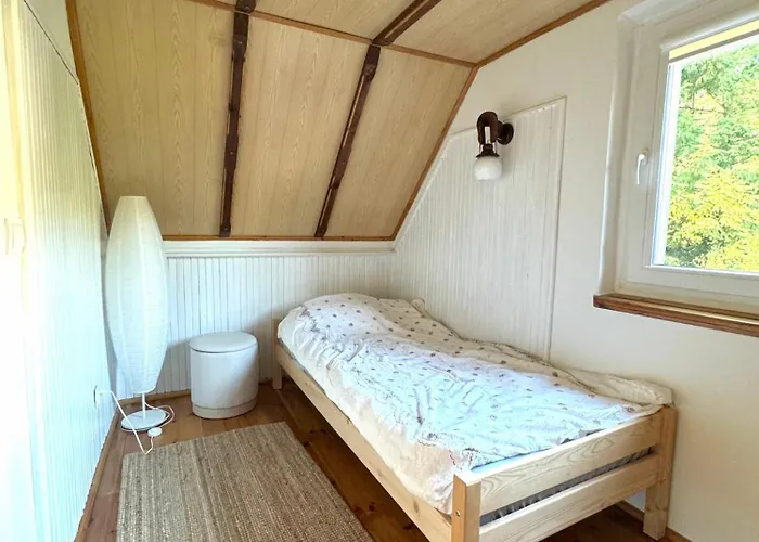 Nad Jeziorem Trzechowskim W Lesie Letniskowy Na Wsi * Iwiczno