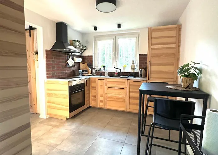 Nad Jeziorem Trzechowskim W Lesie Letniskowy Na Wsi