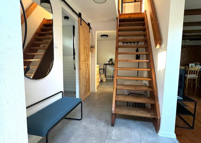 Nad Jeziorem Trzechowskim W Lesie Letniskowy Na Wsi Iwiczno