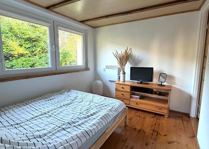 Nad Jeziorem Trzechowskim W Lesie Letniskowy Na Wsi Semesterbostad *