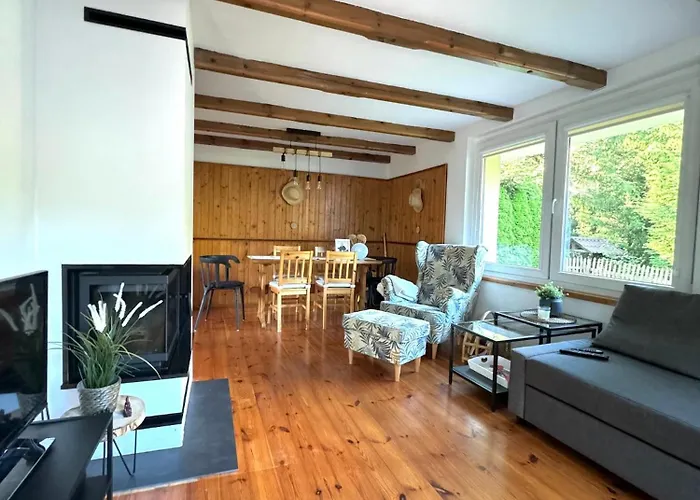 Nad Jeziorem Trzechowskim W Lesie Letniskowy Na Wsi *